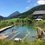 Apartmenthaus Rapplhof Haus im Ennstal