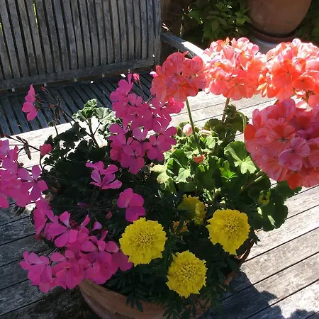 Apartmenthaus Rapplhof *