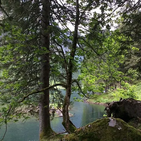 Apartmenthaus Rapplhof Lägenhet Haus im Ennstal