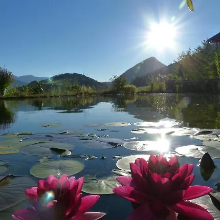 Apartmenthaus Rapplhof *