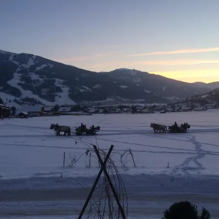 Apartament Apartmenthaus Rapplhof