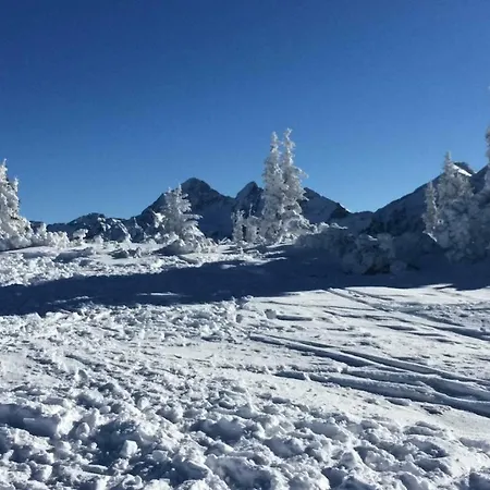 Apartmenthaus Rapplhof Lägenhet Haus im Ennstal