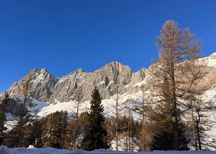 Apartmenthaus Rapplhof شقة *