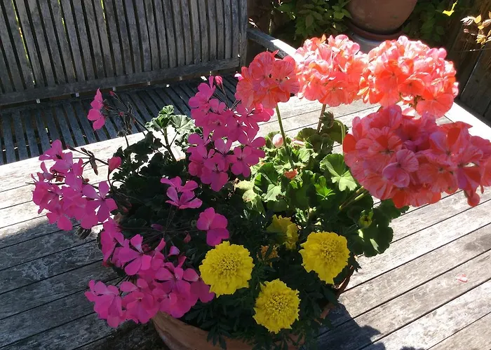 Apartmenthaus Rapplhof *