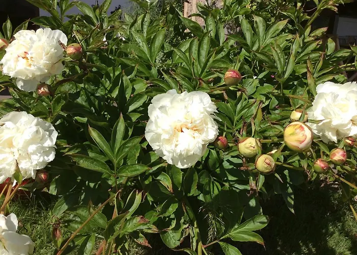 Apartmenthaus Rapplhof * هاوس إم إنيستال