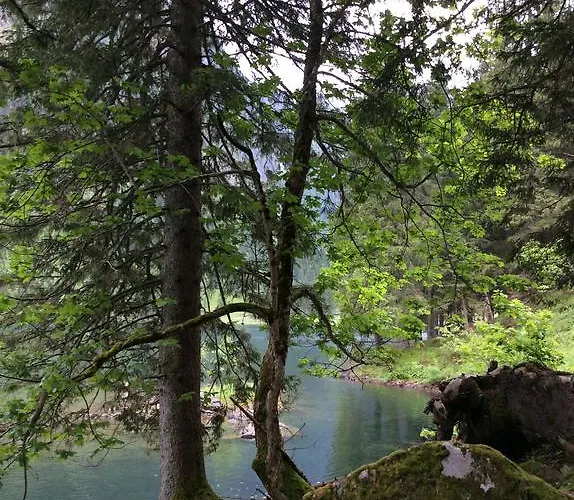 Apartmenthaus Rapplhof شقة هاوس إم إنيستال