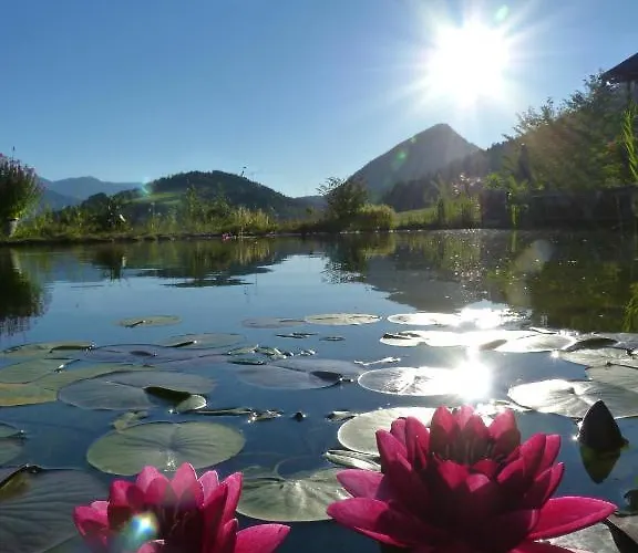 Apartmenthaus Rapplhof *