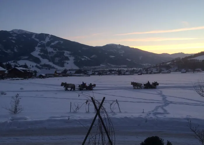 아파트 Apartmenthaus Rapplhof