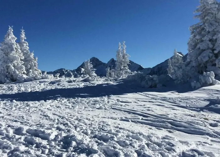 Apartmenthaus Rapplhof 아파트 하우스 임 엔슈탈